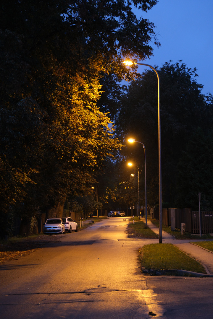 Evening street