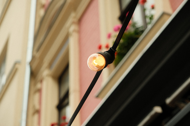 The lamp