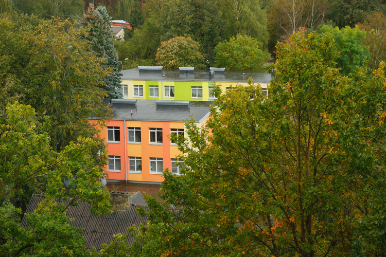 Autumn