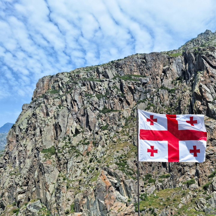 Georgia flag