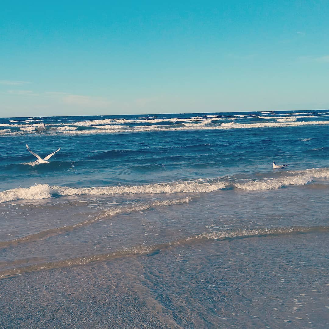 Gulf of Rīga