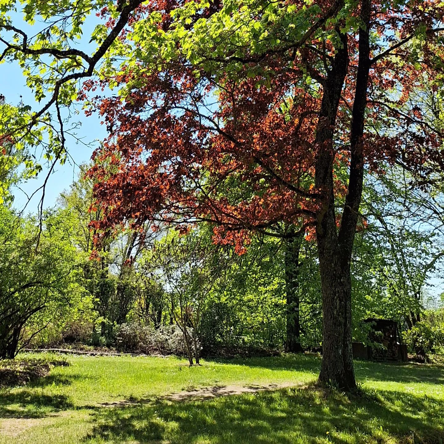 Hiking over the national botanic garden