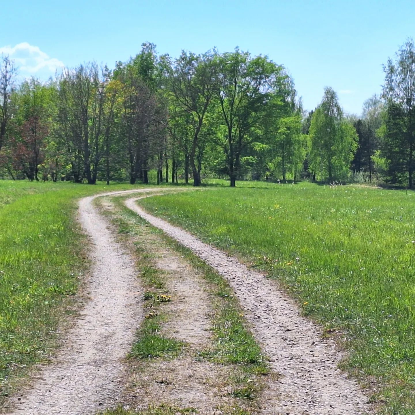 Hiking over the national botanic garden