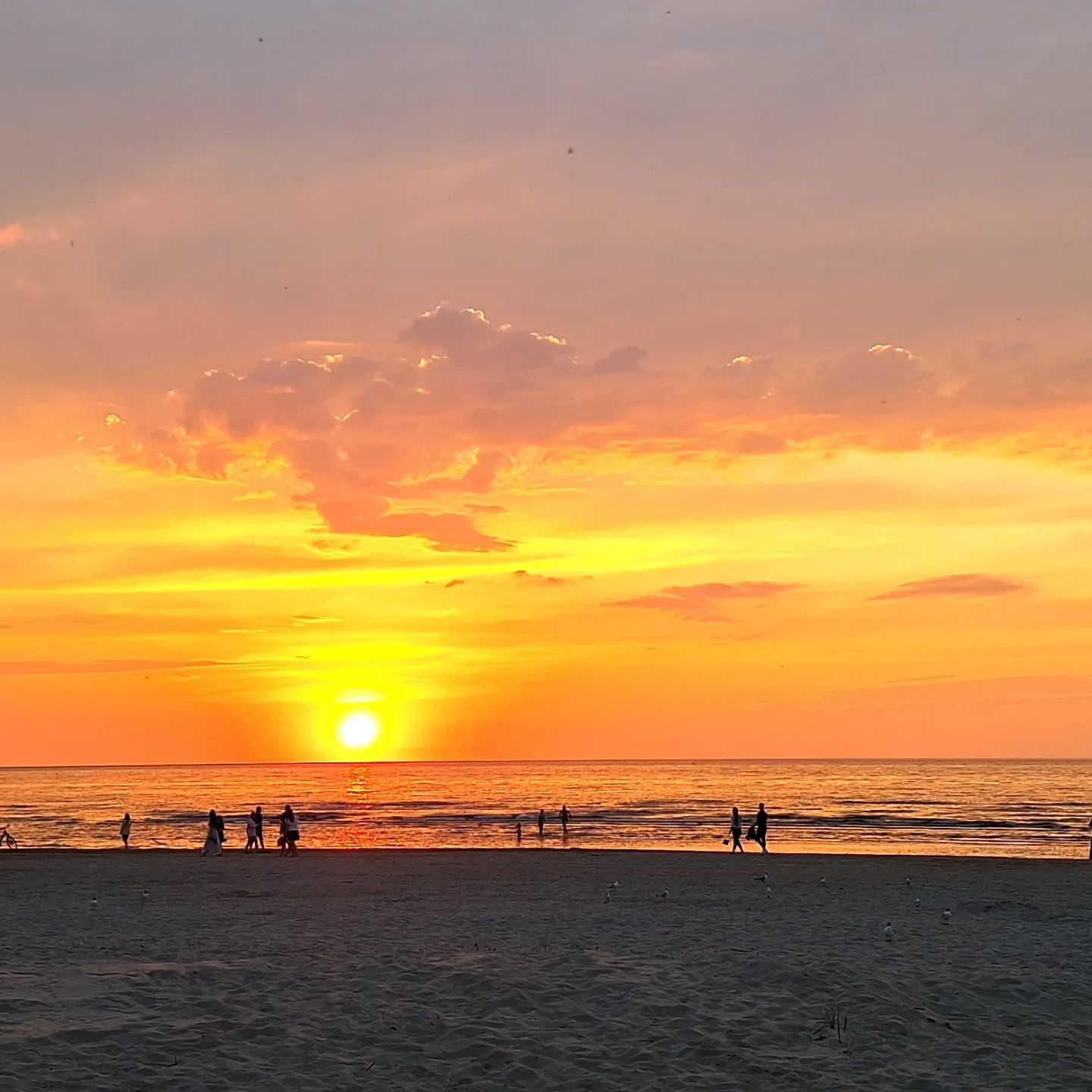 Evening Baltic sea