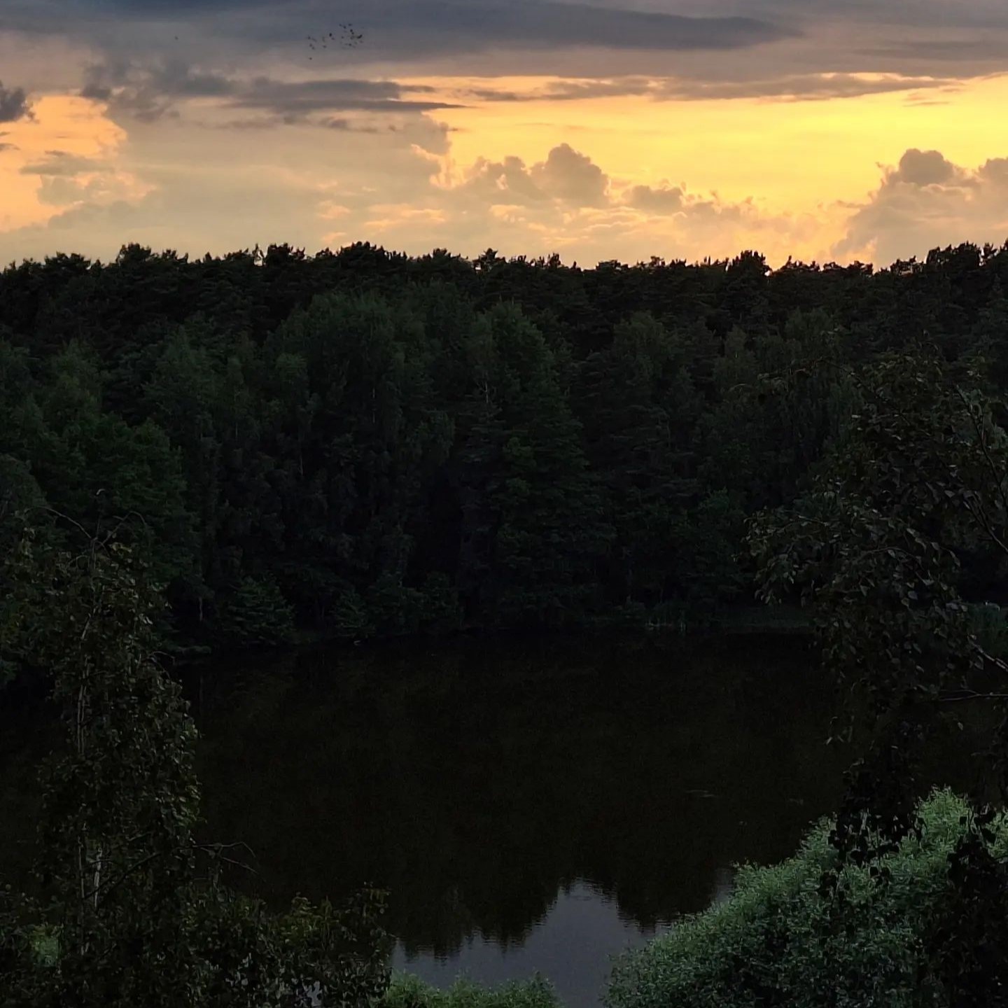 Evening summer lake