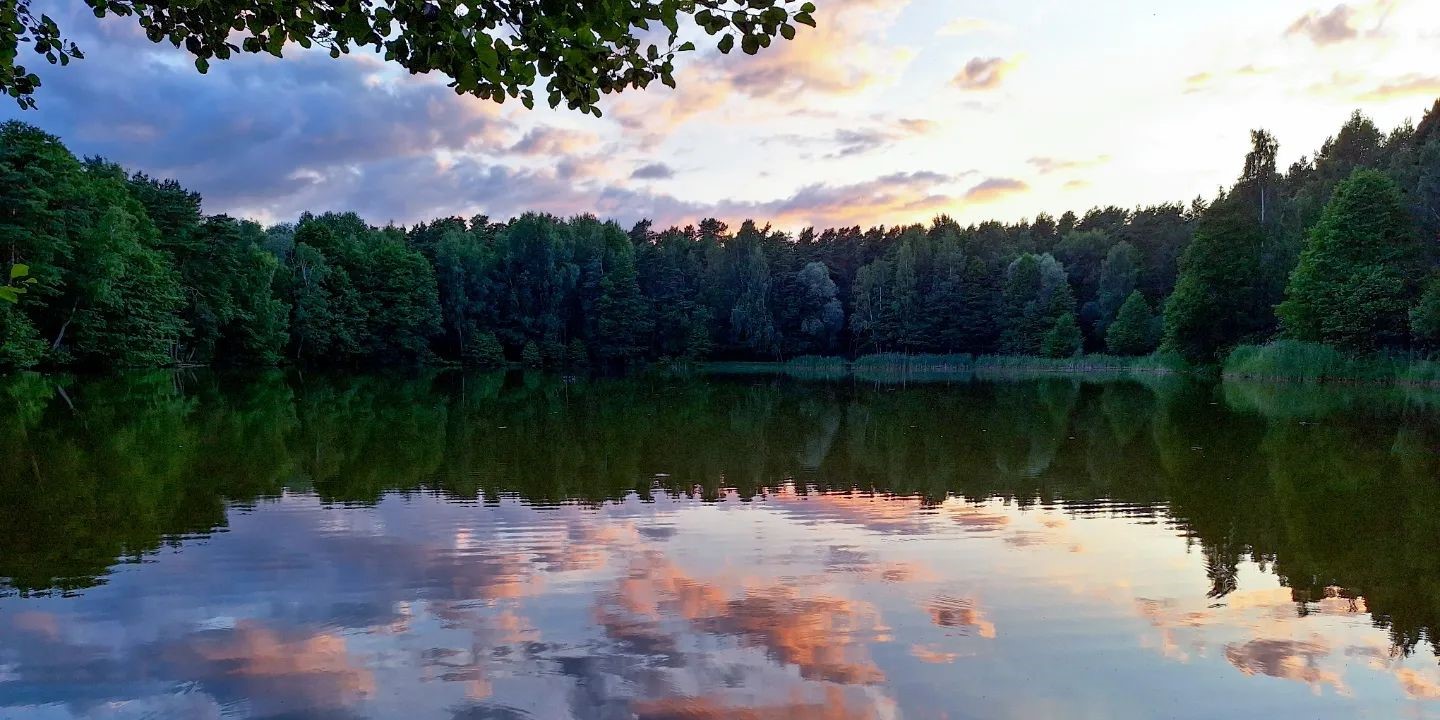 Evening summer lake