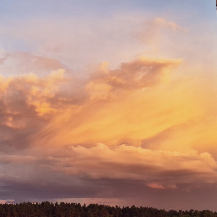 Before the storm